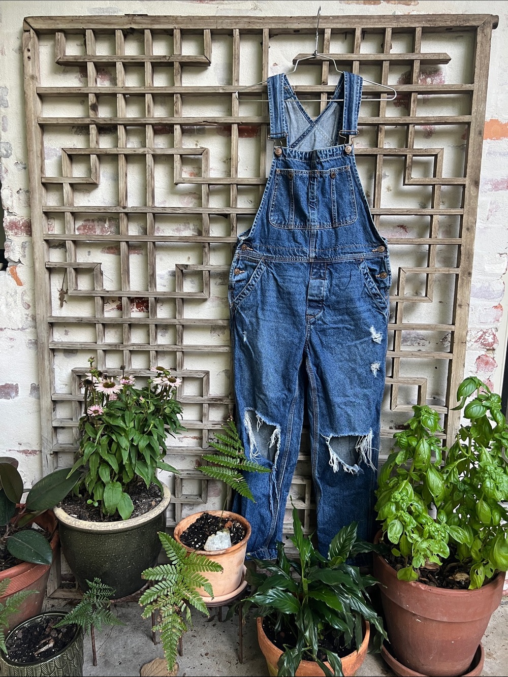 We the Free / Free People Distressed Jean Gardener Fisherman Overalls, 26